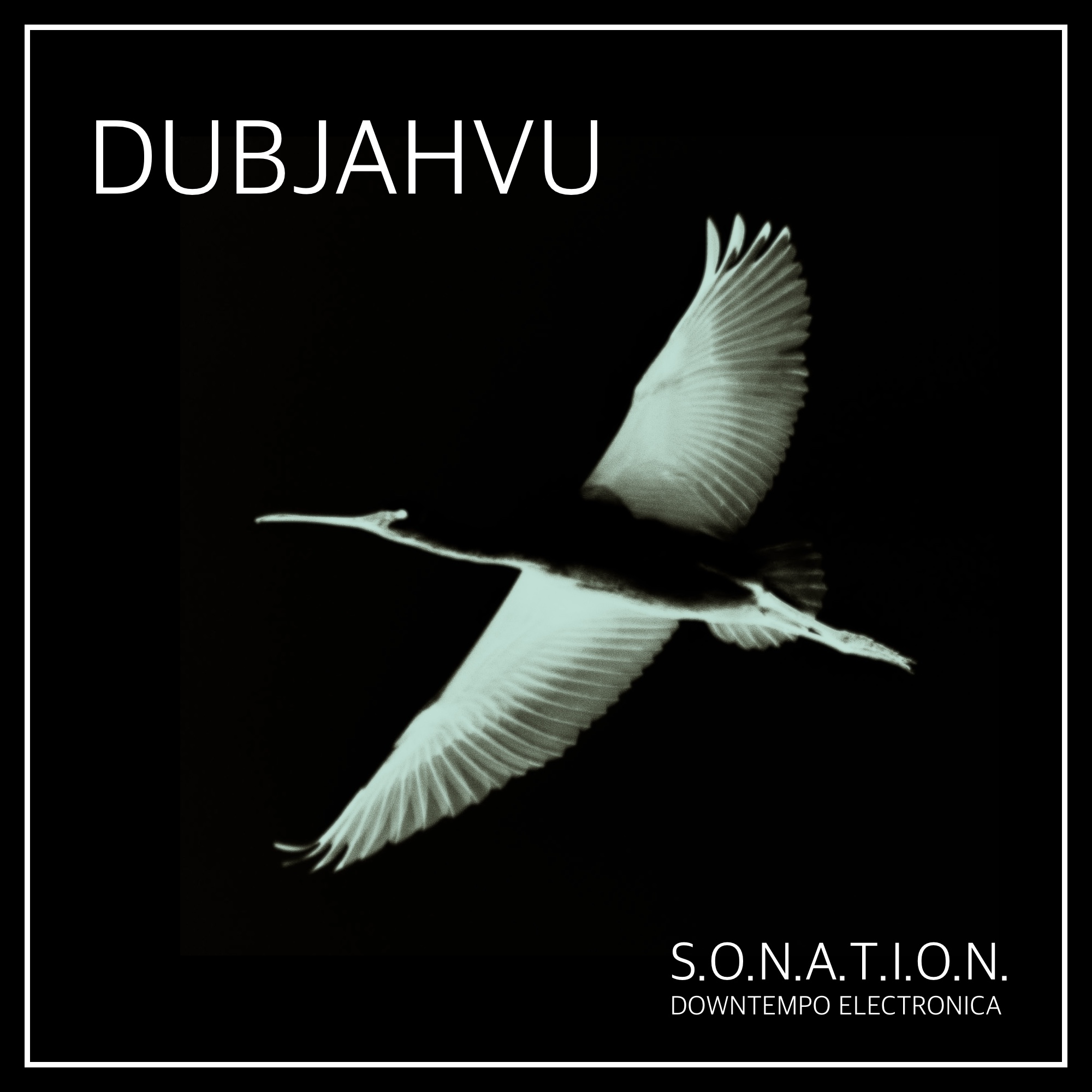 Dubjahvu Cover